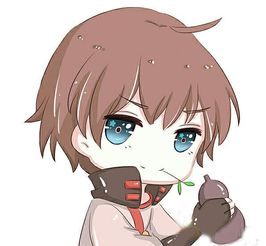 淮滨县空调维修